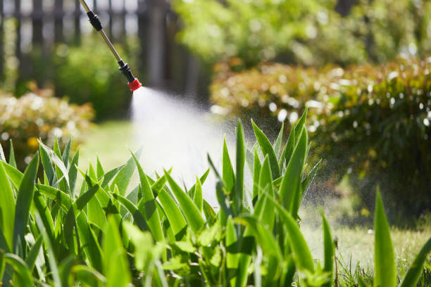 24/7 Emergency Mosquito Control experts in Ridley Park, PA