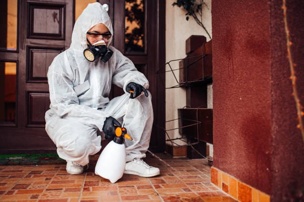 Reliable Mosquito Control contractor in Ridley Park, PA by Show Me Pest Control